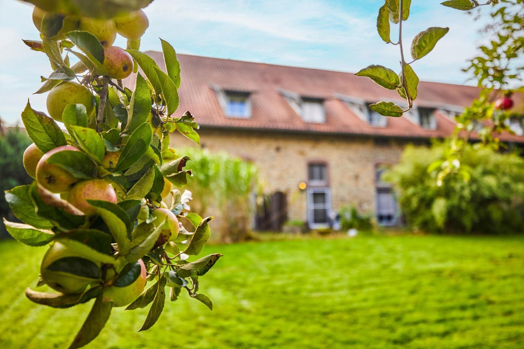 Landhaus Schieder Schieder-Schwalenberg Exterior foto