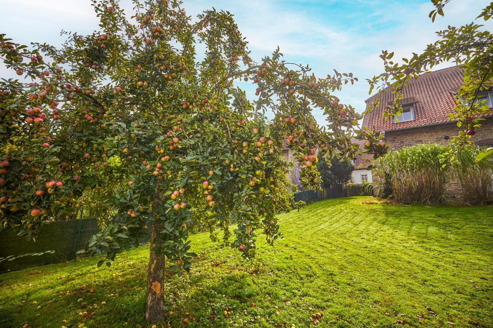 Landhaus Schieder Schieder-Schwalenberg Exterior foto